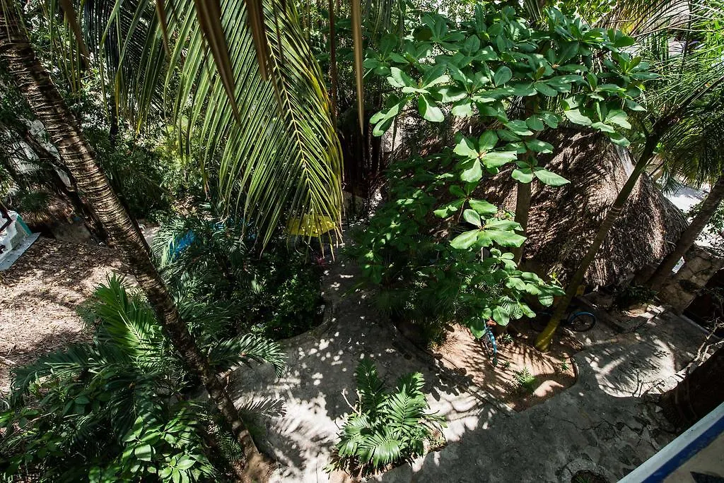 ***  Luna Blue Hotel Playa Del Carmen Meksika